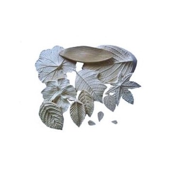 Stampi per Foglie in Gomma Crepla - 13 stampi fommy Foglie per Fiori 77002