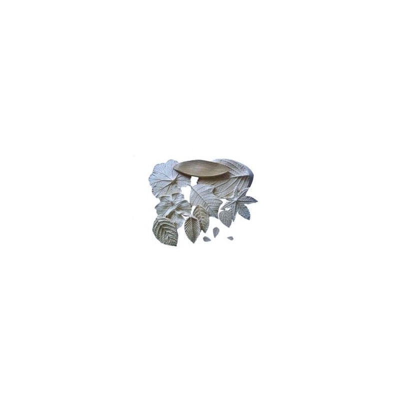 Stampi per Foglie in Gomma Crepla - 13 stampi fommy Foglie per Fiori 77002
