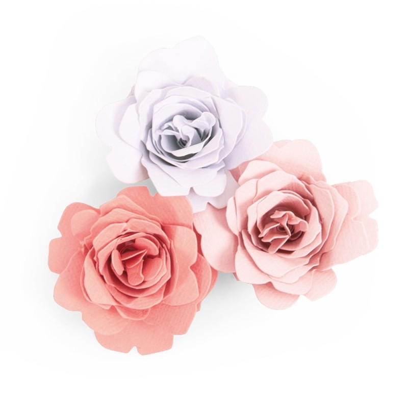 Fustella Rosa Graziosa in 3D - Sizzix Bigz Die - Grace 663848