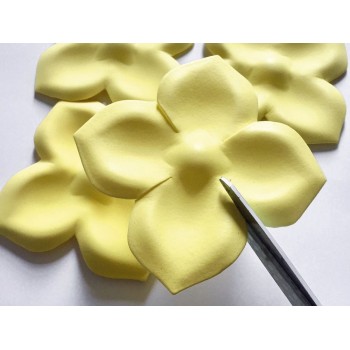 Stampo Rose in Gomma Crepla - 3 Stampi per Petali di Rose in Fommy