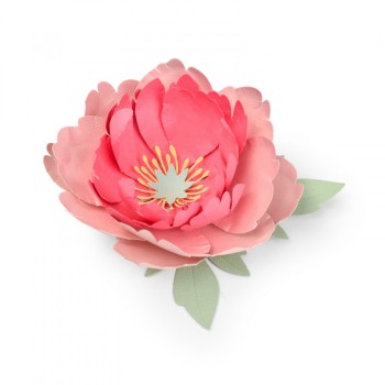 Fustella Peonia - Fustella Fiore Peonia Sizzix Thinlits Die Set 5 pezzi - Peony 663593