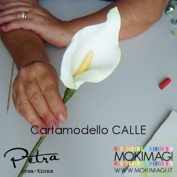 Calle - Cartamodello Gratuito PDF