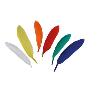 Piume Finte Colorate - 20 pezzi confezione 10-15cm Colori Assortiti