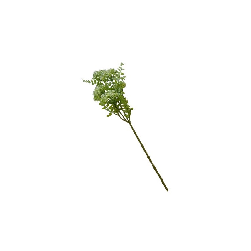 Veleriana Colore Bianco cm.54 - Botanica Renkalik