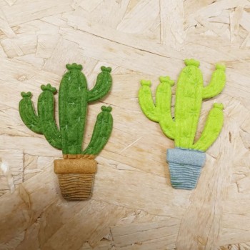 Applicazione Cactus Goldina - Cactus in Feltro