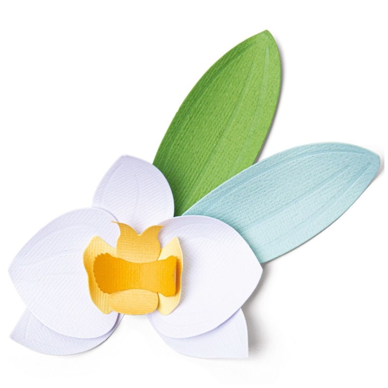 Fustella Orchidea - Sizzix Thinlits Die Set 6 pezzi - Orchid 665894