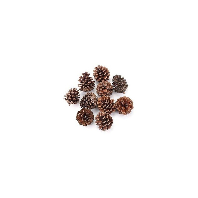 Pigne Piccole Decorative 9pezzi 4-5cm - Prodotti Natalizi