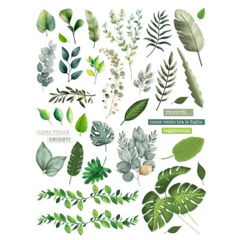 STIKKOSI XL • FOGLIE Tropicali - Stickers - Tessy