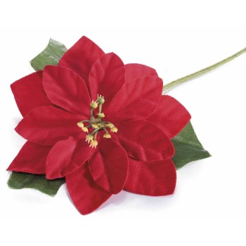 Stella di Natale con gambo modellabile - Botanica